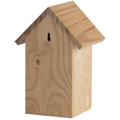 Nido Pajaros Silueta Herrerillo Azul